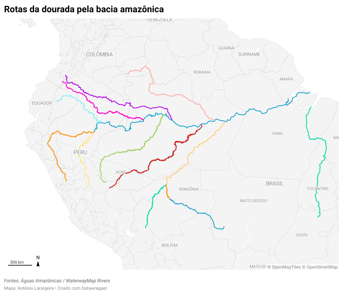 Mapa Rotas da dourada pela bacia amazônica, feito no Datawrapper