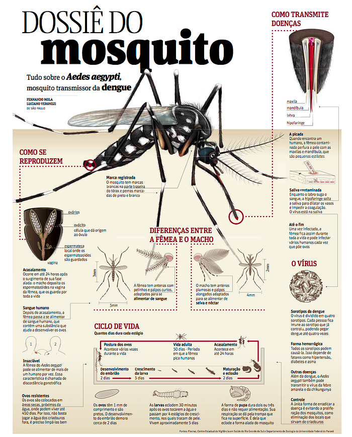 Infográfico Dossiê do Mosquito, sobre o Aedes aegypti, publicado na Folha de São Paulo