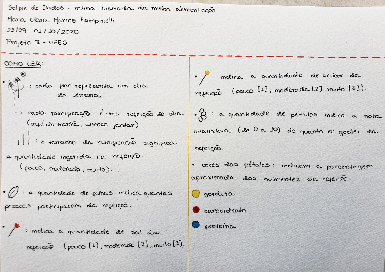 Chave de leitura da selfie de dados de Maria Clara Rampinelli