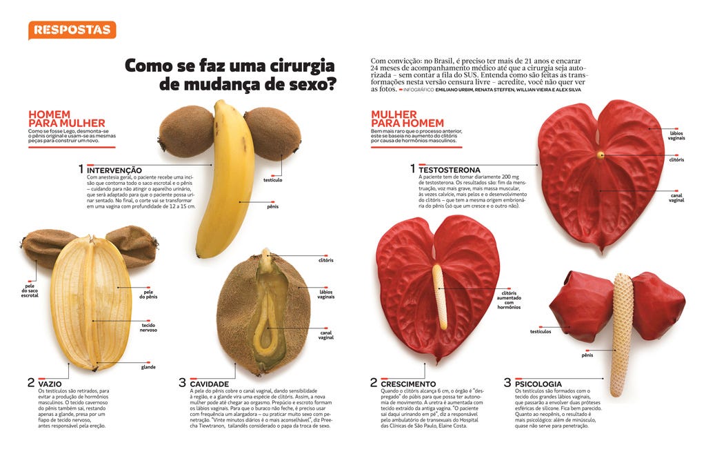 Infográfico sobre cirurgia de readequação sexual com analogia de frutas, de Renata Steffen e equipe na Superinteressante